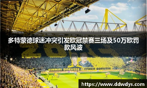 多特蒙德球迷冲突引发欧冠禁赛三场及50万欧罚款风波