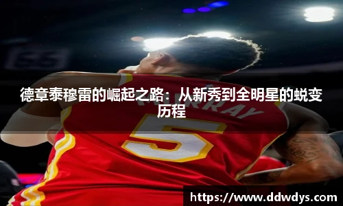 德章泰穆雷的崛起之路：从新秀到全明星的蜕变历程